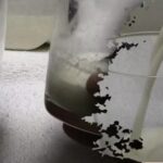 Za pár sekund a bez chemikálií: jak doma zkontrolovat čerstvost